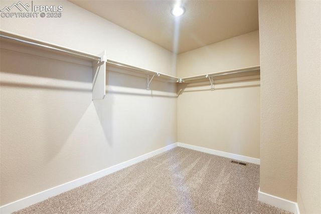 11466 Whistling Duck Way, Colorado Springs, CO 80925