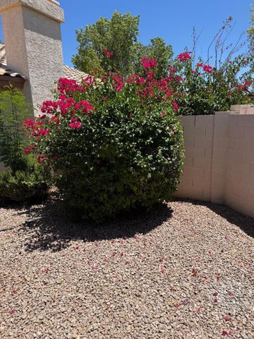 5701 W Jupiter Way, Chandler, AZ 85226