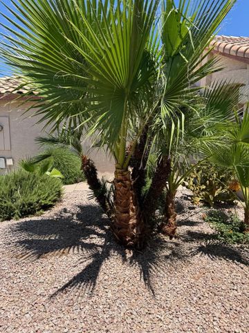 5701 W Jupiter Way, Chandler, AZ 85226