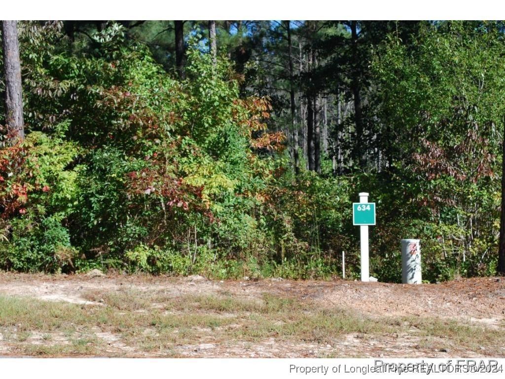 132 Broadlake (634) Lane, Spring Lake, NC 28390 — photo 2