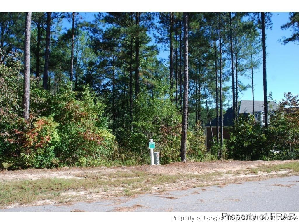 132 Broadlake (634) Lane, Spring Lake, NC 28390 — photo 3
