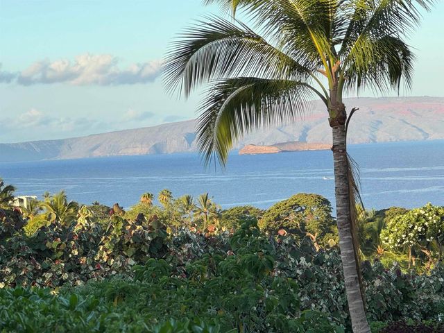 52 Kai Malu Dr Unit 102, Kihei, HI 96753