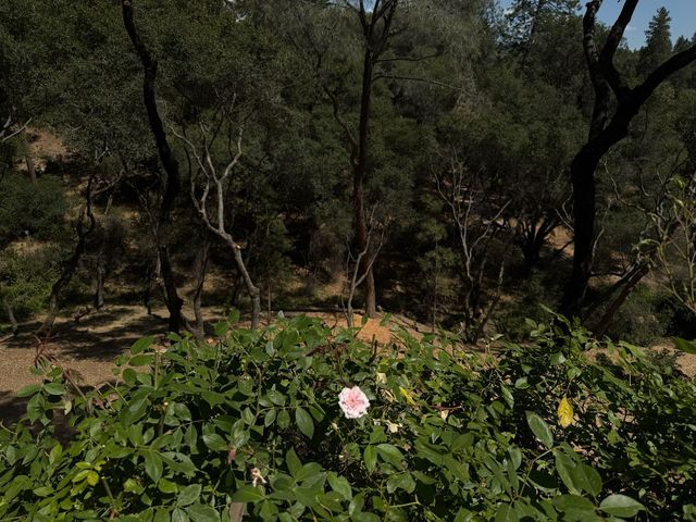 1461 Lodge View Dr, Meadow Vista, CA 95722