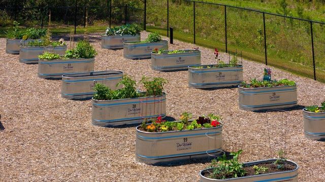 126 Hedera Court, Summerville, SC 29486