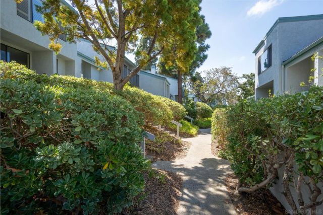 3288 Via Alicante, La Jolla, CA 92037