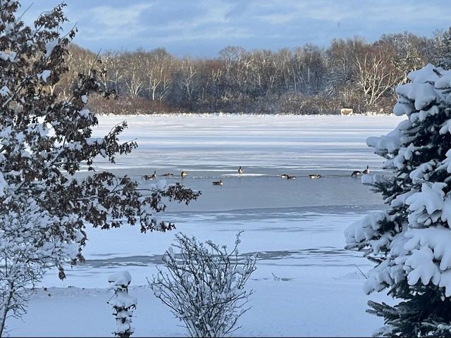 N6838 County Rd B, Montello, WI 53949