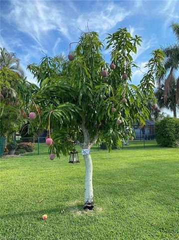 1012 SW 51st TER, Cape Coral, FL 33914