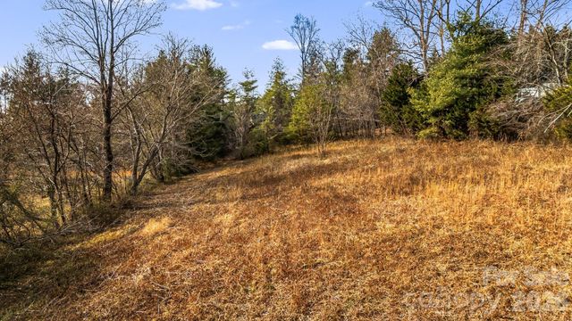 1236 Upper Brush Creek Road, Fairview, NC 28730