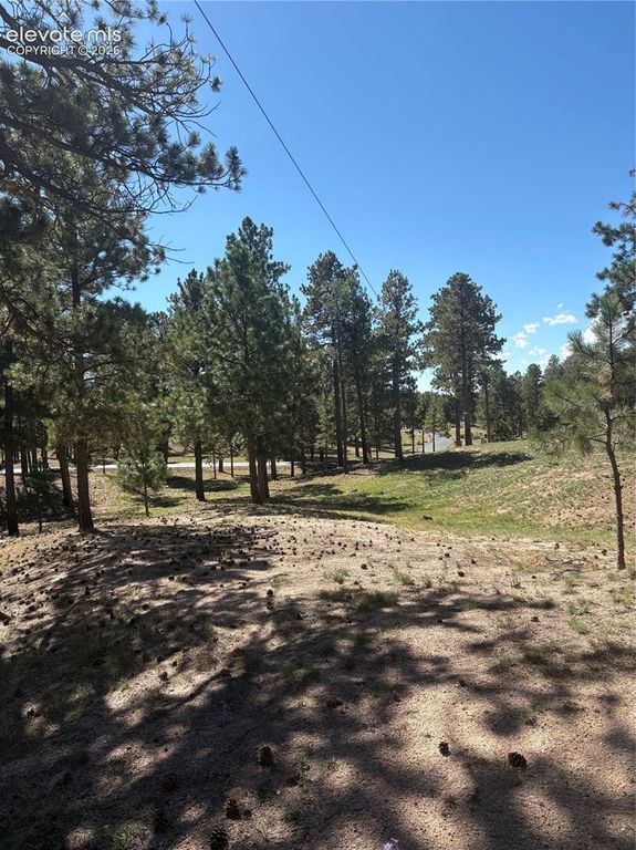 5070 Vessey Road, Colorado Springs, CO 80908 — photo 5