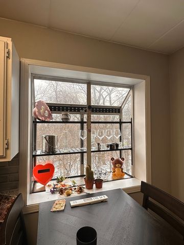 464 S President Street 204, Carol Stream, IL 60188