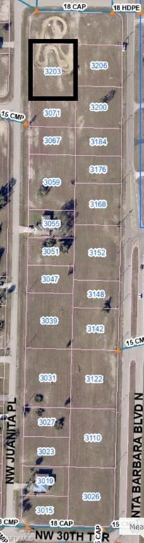 3203 NW Juanita PL, CAPE CORAL, FL 33993 — photo 2