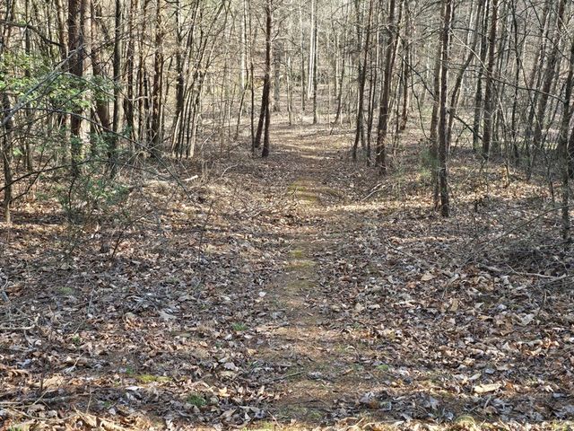 120 Claw Run, Murphy, NC 28906