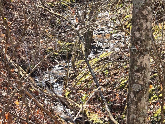 120 Claw Run, Murphy, NC 28906