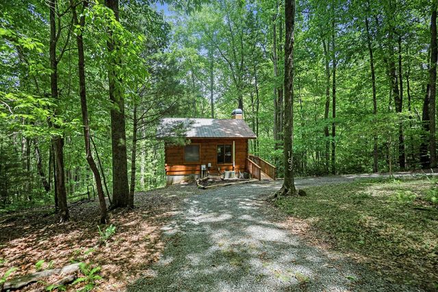 163 Little Rock Creek Trail, Cherry Log, GA 30522