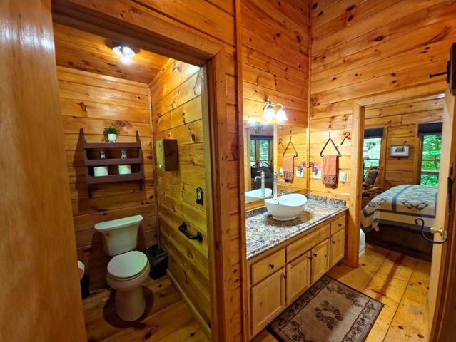 163 Little Rock Creek Trail, Cherry Log, GA 30522