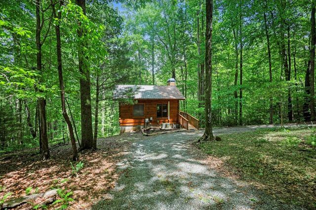 163 Little Rock Creek Trail, Cherry Log, GA 30522