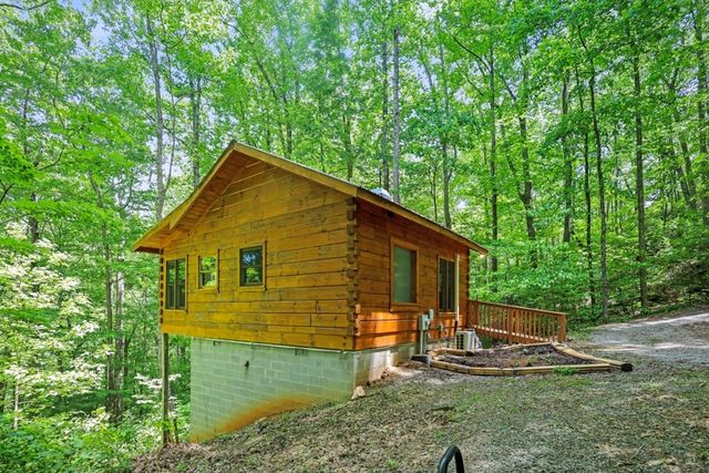 163 Little Rock Creek Trail, Cherry Log, GA 30522