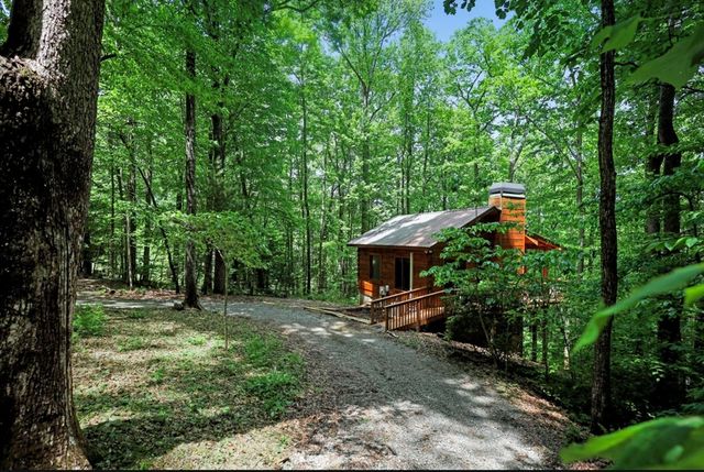 163 Little Rock Creek Trail, Cherry Log, GA 30522