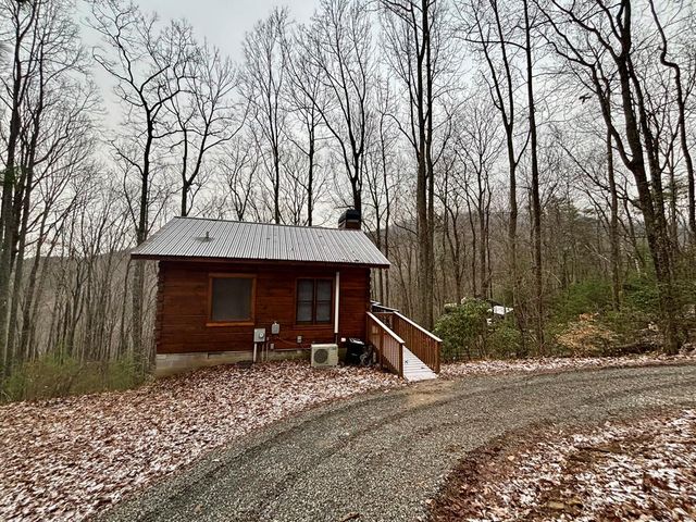 163 Little Rock Creek Trail, Cherry Log, GA 30522