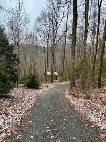 163 Little Rock Creek Trail, Cherry Log, GA 30522