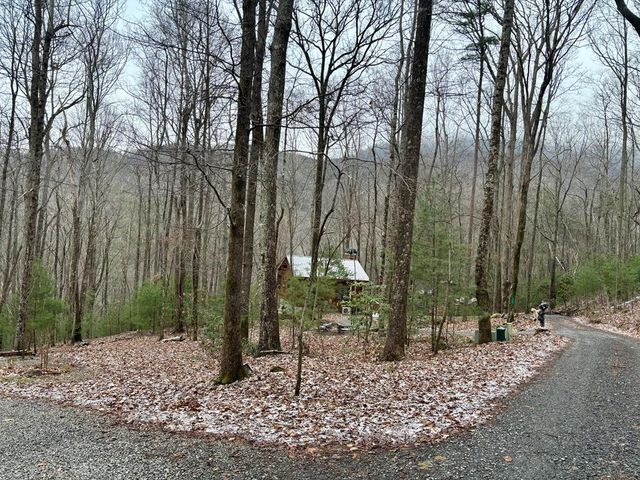 163 Little Rock Creek Trail, Cherry Log, GA 30522