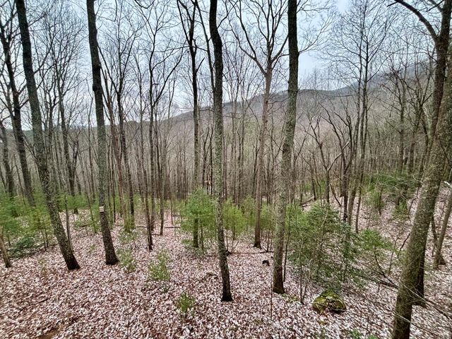 163 Little Rock Creek Trail, Cherry Log, GA 30522