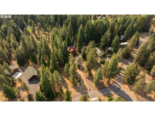 18 GREENWOOD Rd, Trout Lake, WA 98650