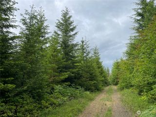 0 George Taylor Road, Silverlake, WA 98645