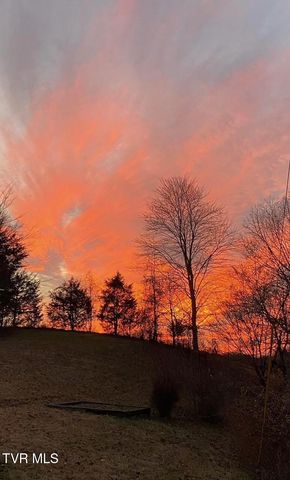 954 Longs Bend Road, Rogersville, TN 37857