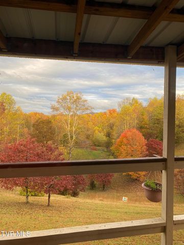 954 Longs Bend Road, Rogersville, TN 37857