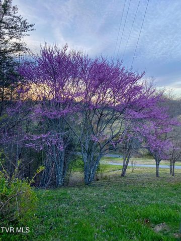 954 Longs Bend Road, Rogersville, TN 37857