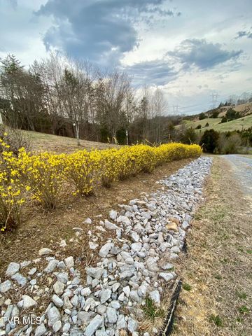 954 Longs Bend Road, Rogersville, TN 37857