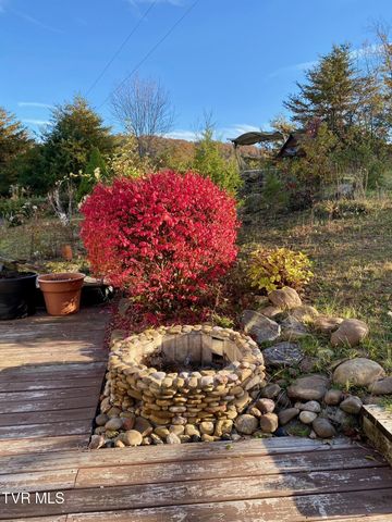 954 Longs Bend Road, Rogersville, TN 37857