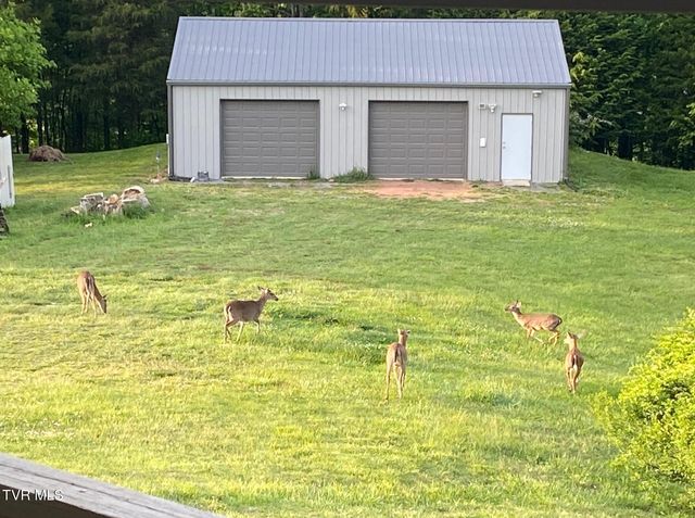 954 Longs Bend Road, Rogersville, TN 37857