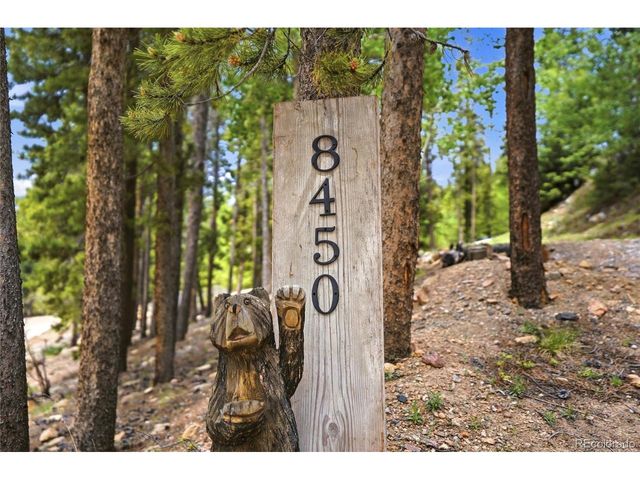8450 London Ln, Conifer, CO 80433