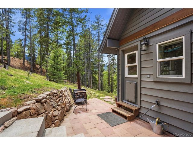 8450 London Ln, Conifer, CO 80433