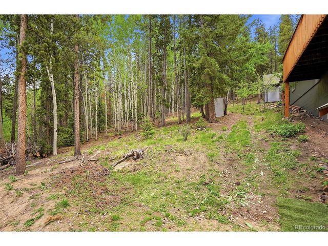 8450 London Ln, Conifer, CO 80433