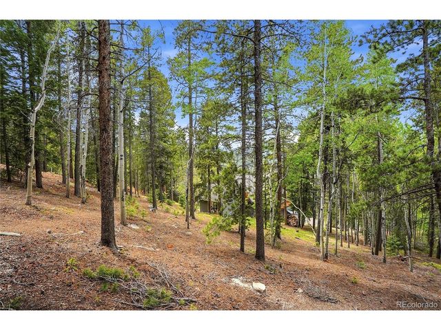 8450 London Ln, Conifer, CO 80433