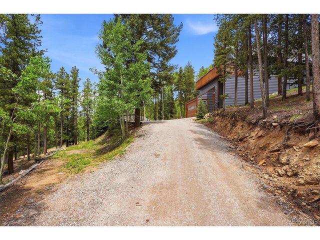 8450 London Ln, Conifer, CO 80433