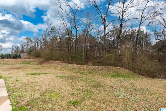 1193 MOUNTAIN LAUREL CIRCLE, Moody, AL 35004