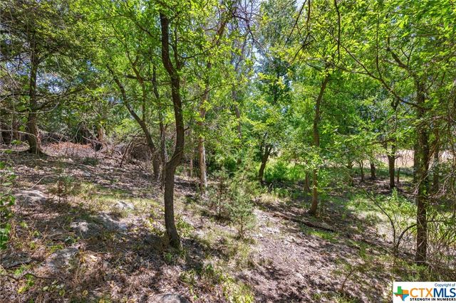 21465 Lakefront Drive, Lago Vista, TX 78645