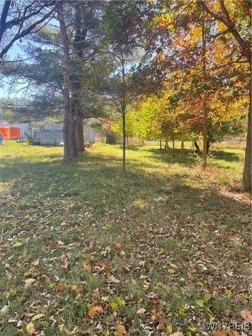 31 Norton Street, Amity, NY 14813