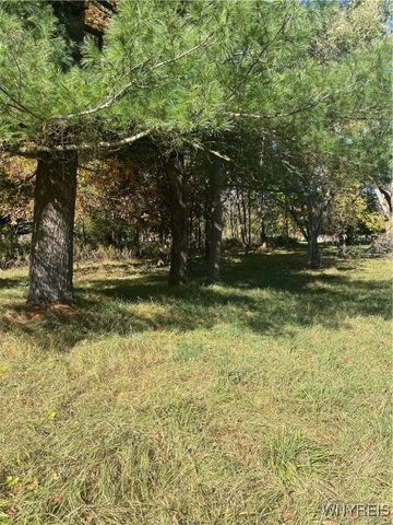 31 Norton Street, Amity, NY 14813