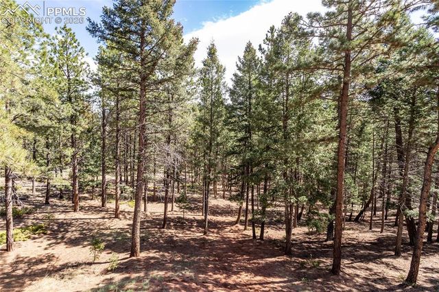 161 Summer Haven Drive, Woodland Park, CO 80863