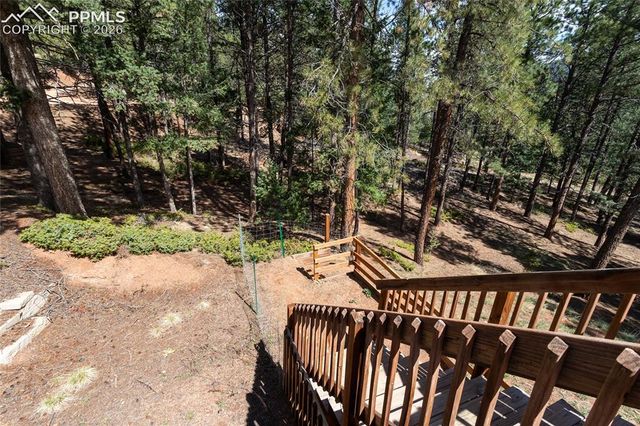 161 Summer Haven Drive, Woodland Park, CO 80863