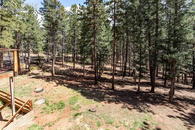 161 Summer Haven Drive, Woodland Park, CO 80863