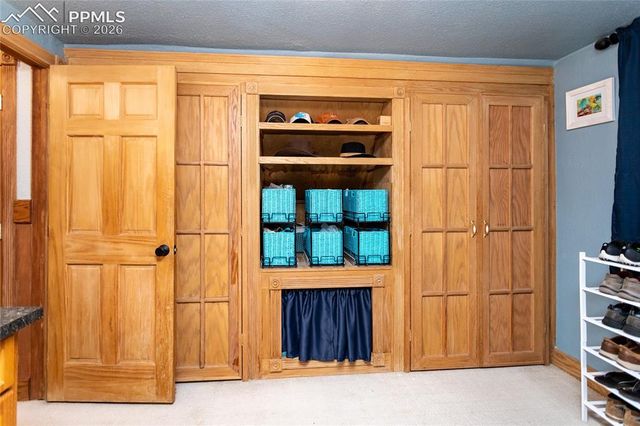 161 Summer Haven Drive, Woodland Park, CO 80863