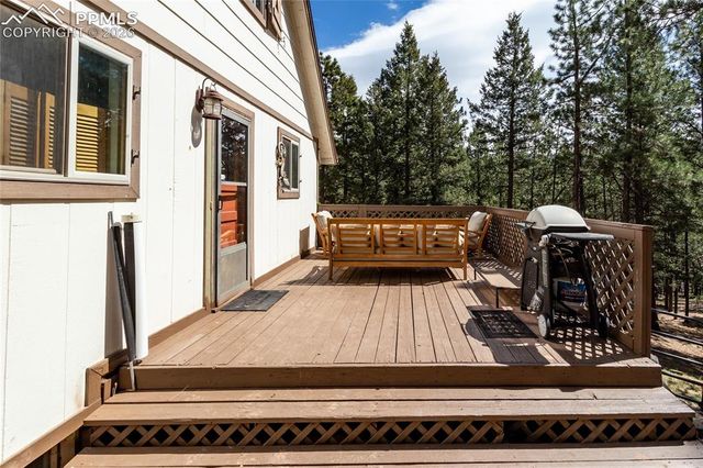 161 Summer Haven Drive, Woodland Park, CO 80863
