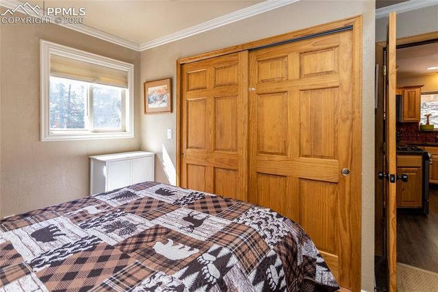 161 Summer Haven Drive, Woodland Park, CO 80863