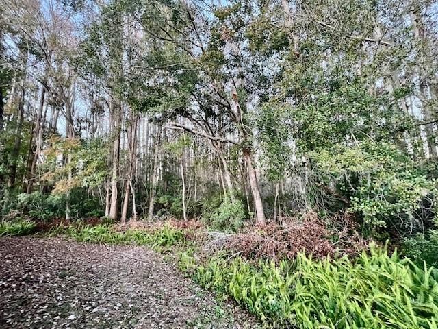 11536 BAYWOOD MEADOWS DRIVE 3, New Port Richey, FL 34654